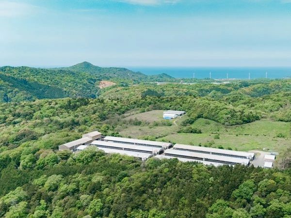 島根県江津市のブランド豚「まるひめポーク」がブランドを刷新！新サイトを公開、新ロゴ・ブランド表記に