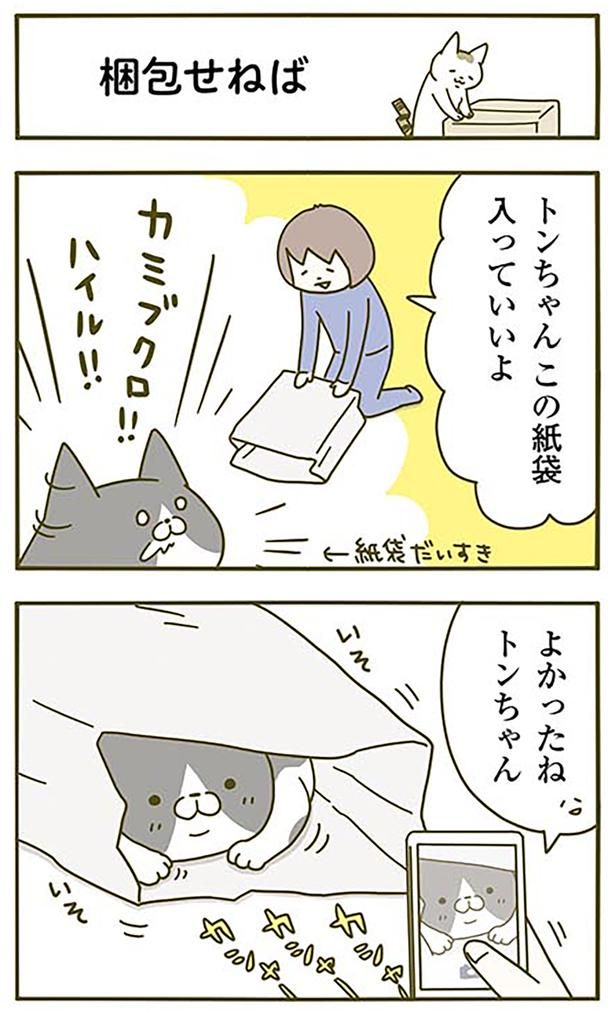 梱包せねば （C）卵山玉子／KADOKAWA