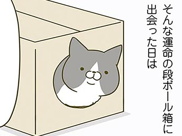運命の段ボール箱に出会うと （C）卵山玉子／KADOKAWA