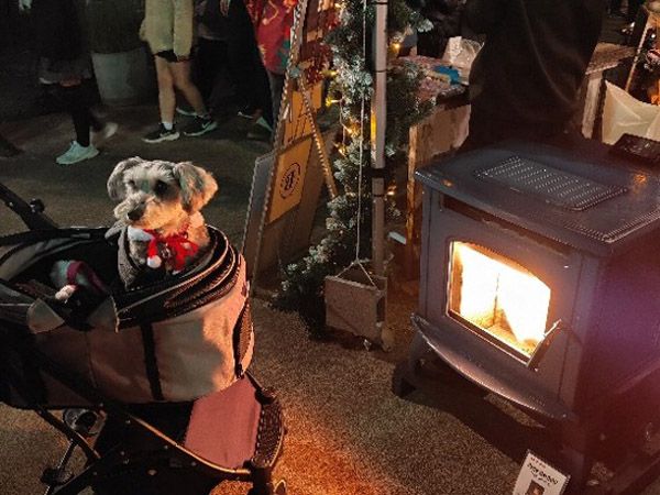 岐阜市で子どもが主役の新たな冬の風物詩「長良ファミリークリスマスマーケット」開催