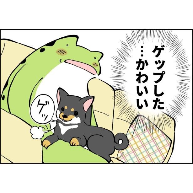 犬が家族になってから1_005 ユウコトリトリ(@yuko_toritori)