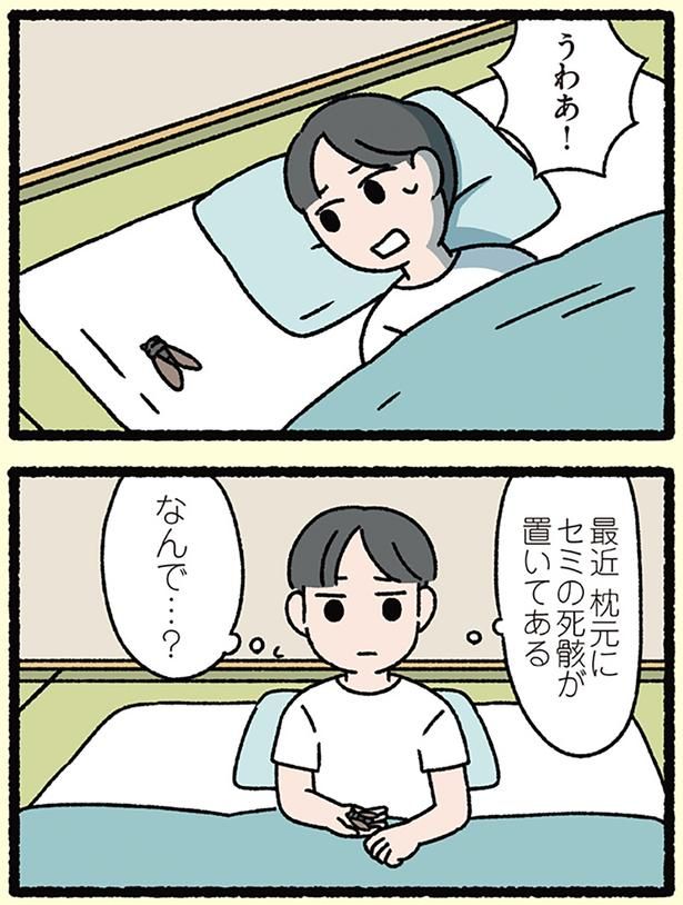 いつもセミをくれたのは… （C）ぱんだにあ／KADOKAWA
