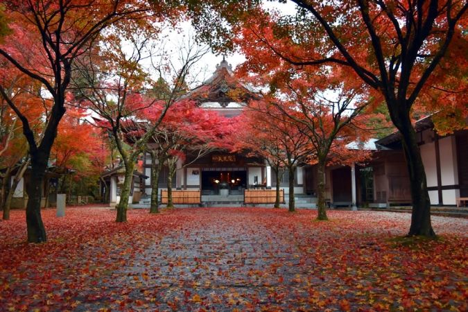 呑山観音寺 紅葉