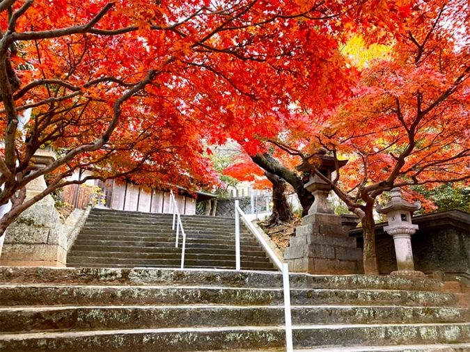 紅葉八幡宮