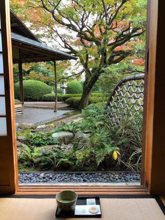 松風園お茶