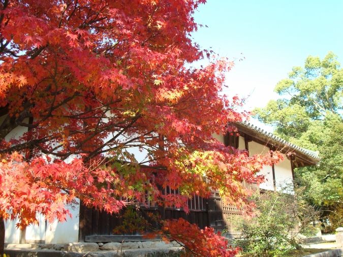 観世音寺