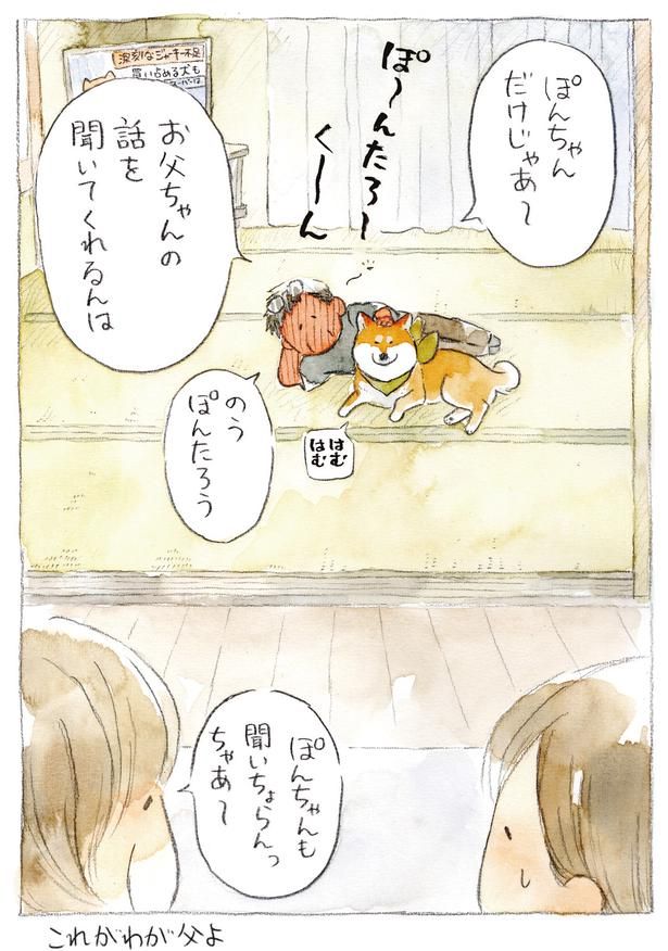 ぽんちゃんだけじゃあ～ (C)犬山スケッチ／KADOKAWA