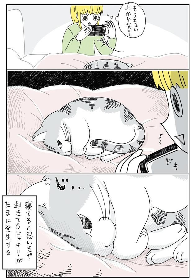 目が合って… （C）キュルZ／KADOKAWA