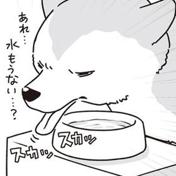 水の場所がわからないシニア犬 (C)真希 ナルセ／KADOKAWA