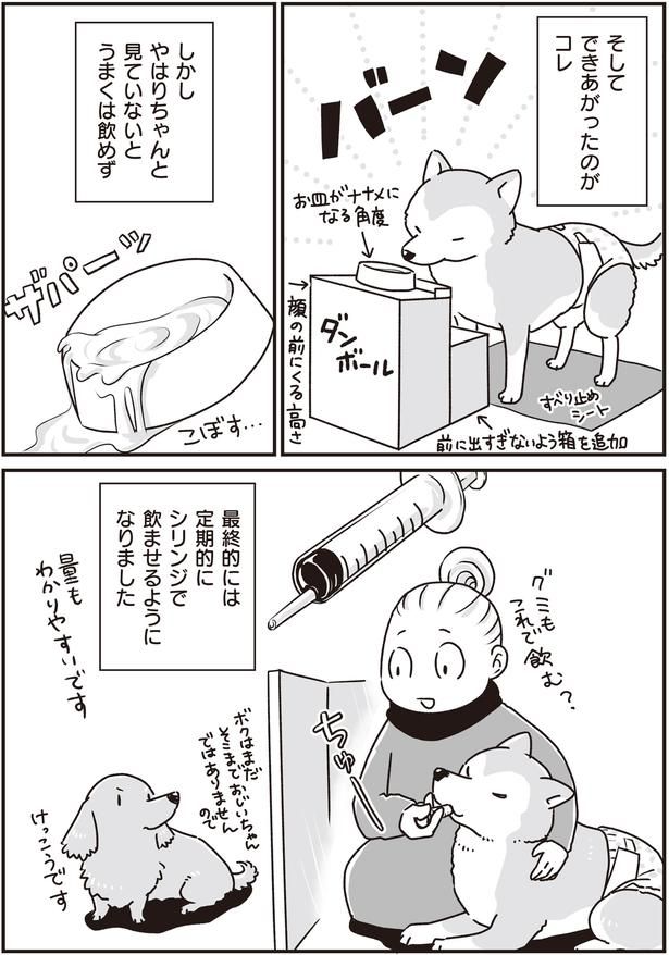 できあがったのがコレ (C)真希 ナルセ／KADOKAWA