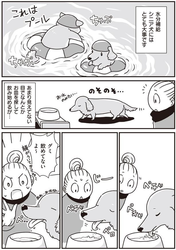 シニア犬にはとても大事 (C)真希 ナルセ／KADOKAWA