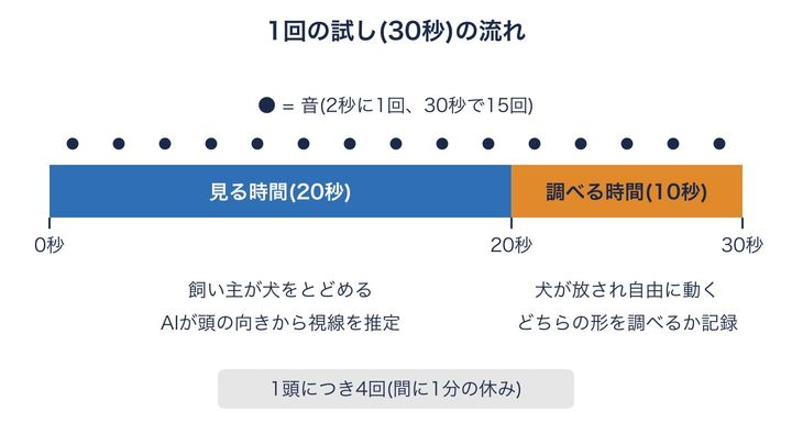 1回の試しで、犬がまず形を見て、次に調べに行くまでを、時間の長さどおりに並べた図です。前の3分の2は目の向きだけを、後ろの3分の1は体の動きを調べているのが分かります。
