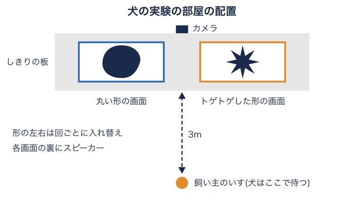 犬が音を聞きながら2つの形を見比べた部屋を、分かりやすく描いた図です。犬は2つの画面の真ん中を向いて待つので、どちらを見たかが頭の向きで分かります(縮尺は正確ではありません)。