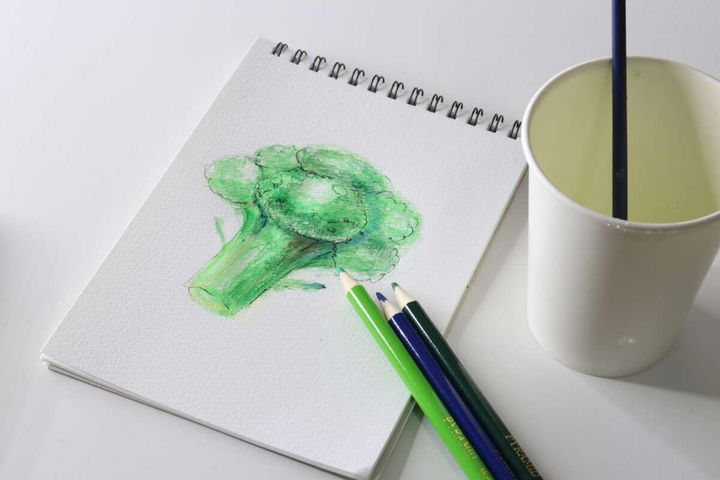 完成したブロッコリーのイラストが描かれたスケッチブックと色鉛筆のセット