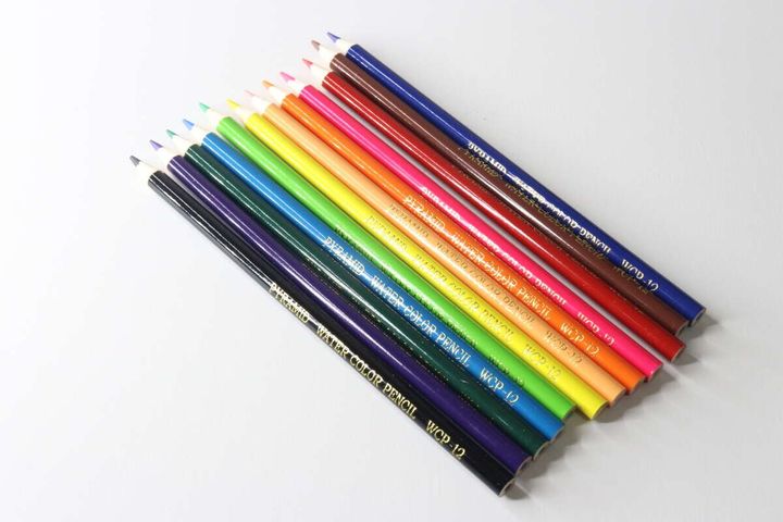 きれいに並べられた12色の水彩色鉛筆の本体の斜めからの撮影写真