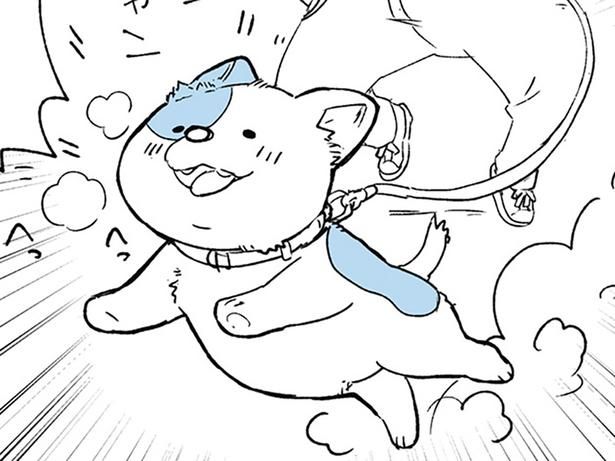 ニューフェイス登場！ （C）みつつぐ／KADOKAWA