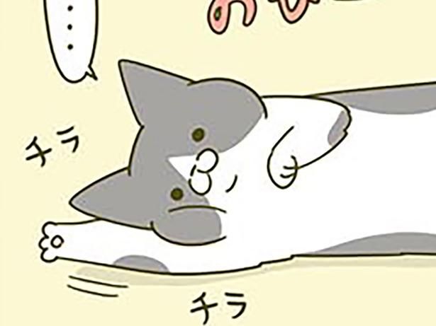 チラチラ… （C）卵山玉子／KADOKAWA