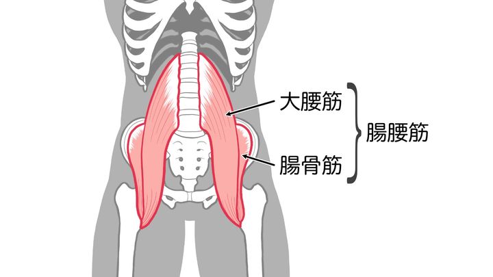 大腰筋