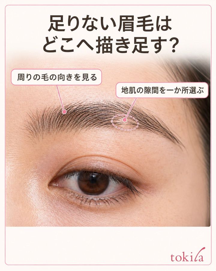 描く前に、周りの毛と地肌の隙間を分けて見ます。