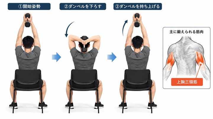 座位ダンベルフレンチプレス解説