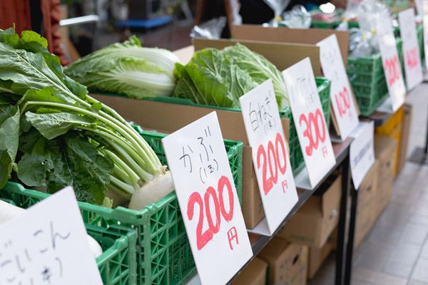 三重県四日市市 すわ公園通り商店街を健康ステーションに！「とこわか健活フェスタ」専門家や学生が参画して開催