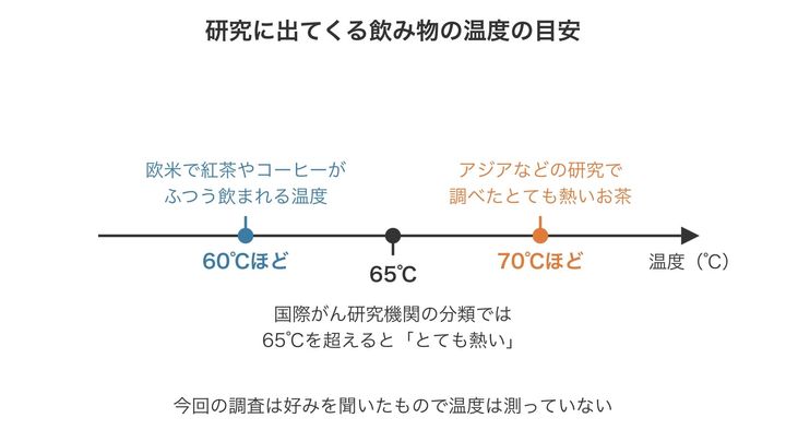 記事に出てくる飲み物の温度の目安を、1本の物差しに並べた図です。欧米でふだん飲む60℃ほどは国際機関の境目の65℃より低く、それでもリスクが高まるかもしれない点が注目どころです。
