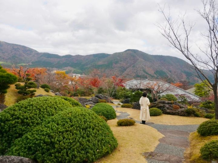 庭園と箱根の山々