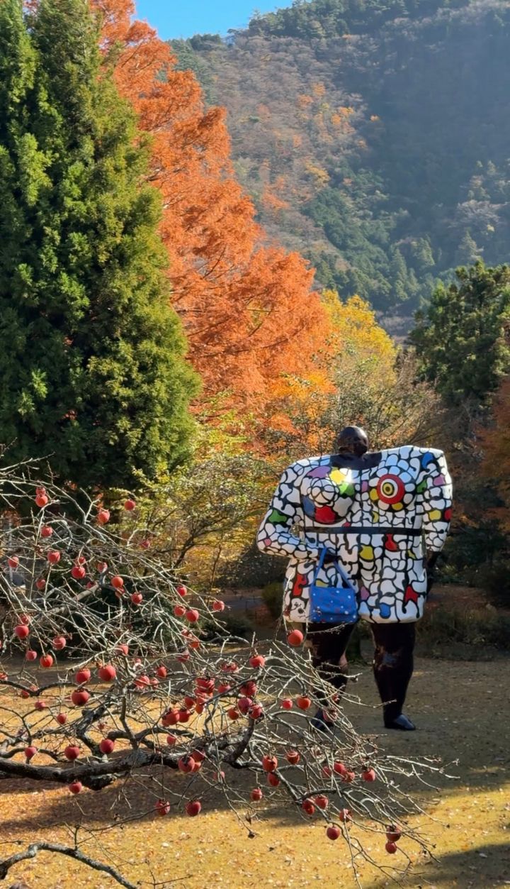 11月下旬：柿の葉は落ちて、奥の木々が色づきました