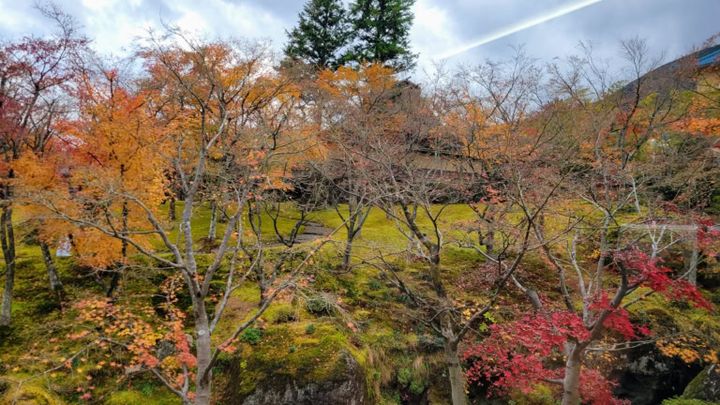 ※写真は2025年11月末に訪れた際のものです。