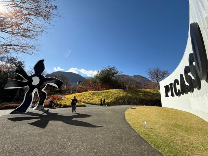 ピカソ館と屋外彫刻：｢歩く花」
