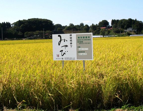 仕入れミスから生まれた特別価格の「やっちまった弁当」最新作は“山盛り唐揚げ海苔弁”！マイニチミヤビの名物企画5日間限定開催
