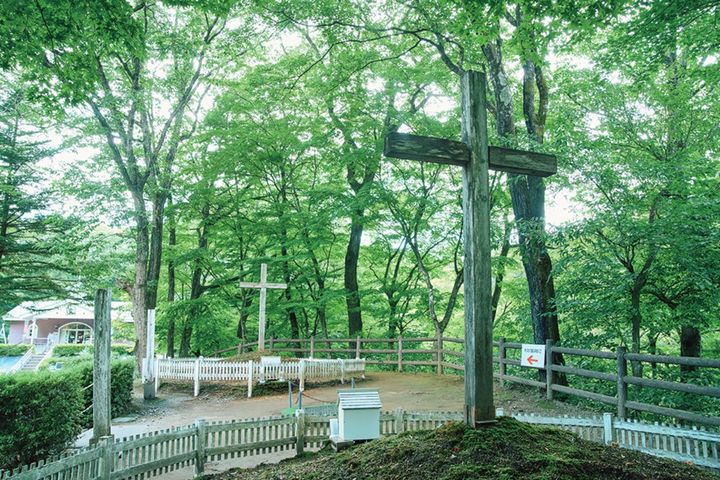 青森・八戸～十和田湖ツーリングの見どころ5選｜絶景とヒラメの漬け丼を満喫