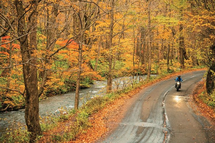 青森・八戸～十和田湖ツーリングの見どころ5選｜絶景とヒラメの漬け丼を満喫