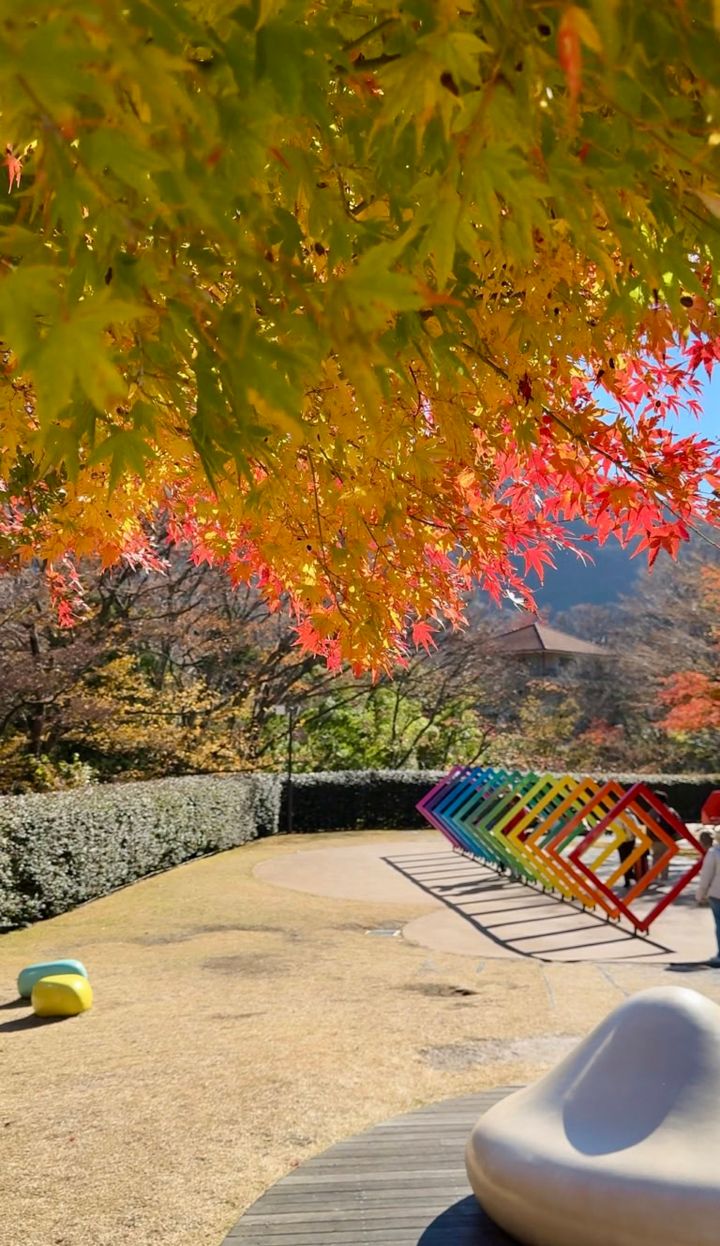 このアートの近くにもぽつんと紅葉が。