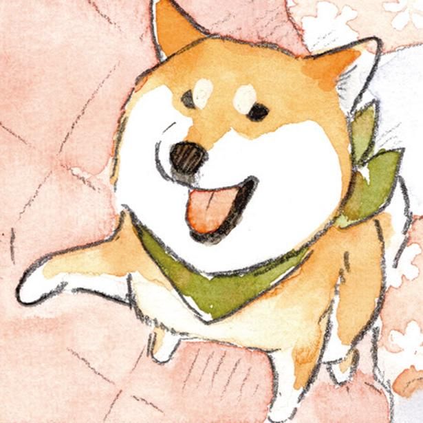 お手しても (C)犬山スケッチ／KADOKAWA