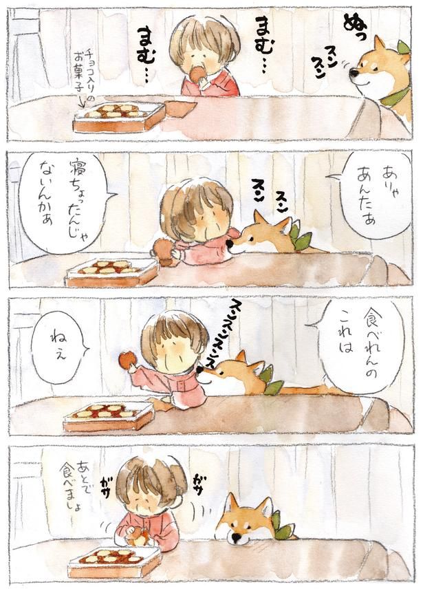 食べれんのこれは (C)犬山スケッチ／KADOKAWA