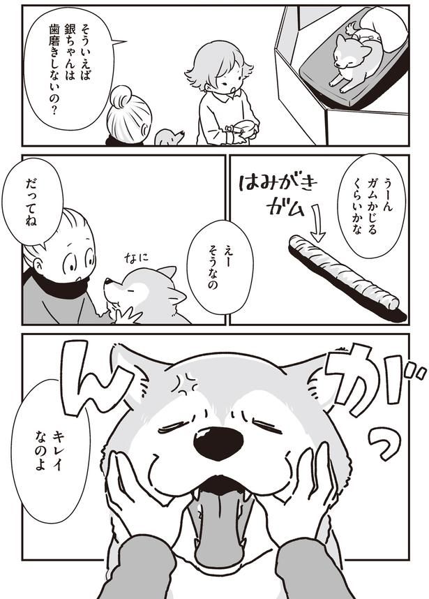 ガムかじるくらいかな (C)真希 ナルセ／KADOKAWA