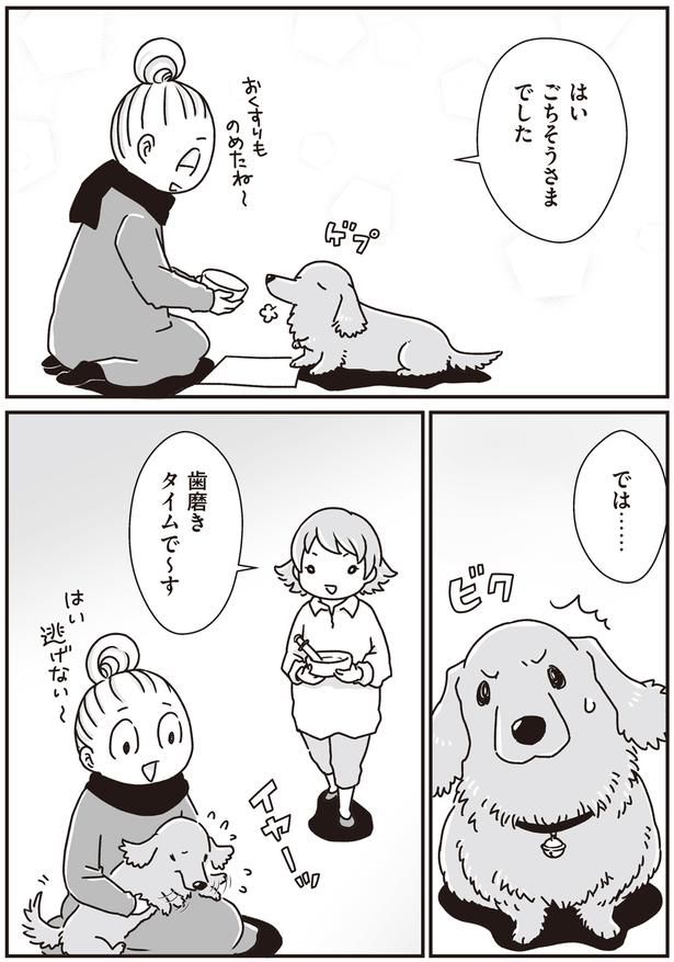 歯磨きタイムで～す (C)真希 ナルセ／KADOKAWA