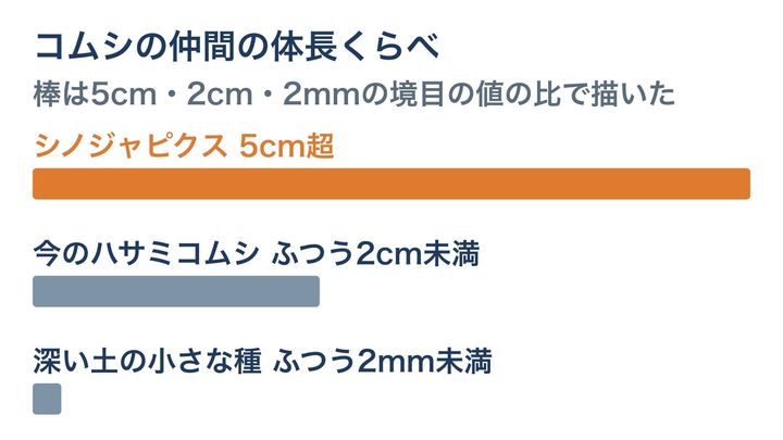 コムシの仲間の体の長さを、棒の長さで比べた図です。棒は5cm・2cm・2mmという境目の値の比で描いており、シノジャピクスが今のハサミコムシの2倍以上あったことが見て取れます。
