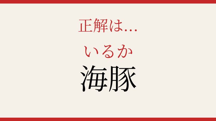 【難読漢字】10秒で読める？海の哺乳類の解答画像