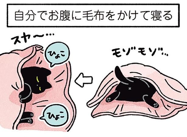 自分でお腹に毛布をかけて寝る （C）AKR／KADOKAWA