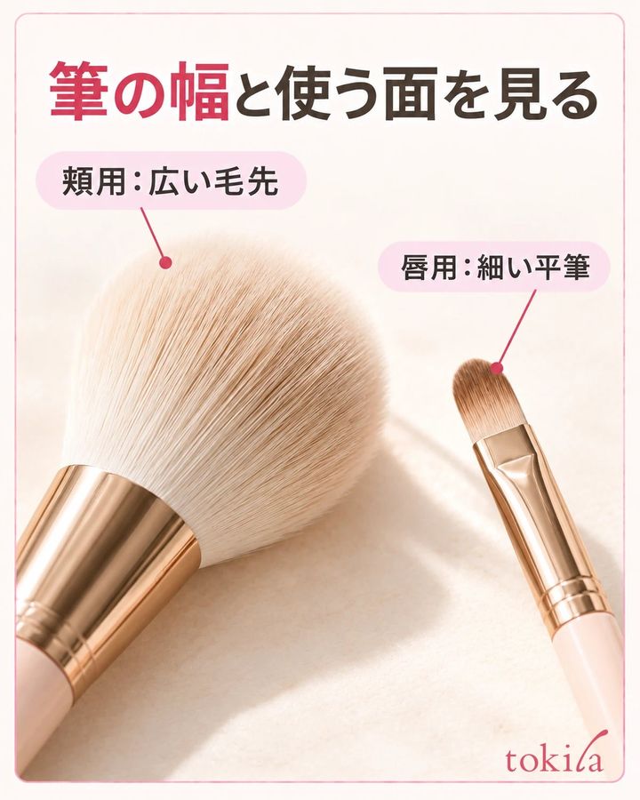 丸い広い頬用ブラシの毛束と細い平筆の先端