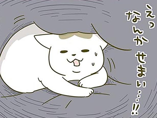 寝起きに戸惑う猫 （C）卵山玉子／KADOKAWA