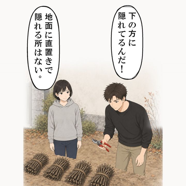 弟は強気が折れ、庭ばさみを手に束を見下ろしました