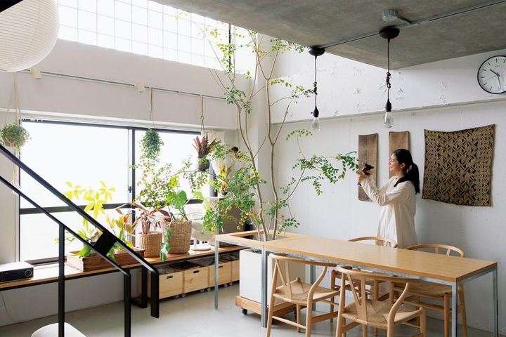 マンションなのに「森に住んでいる」気分！ 部屋に大きな木のあるインテリア実例