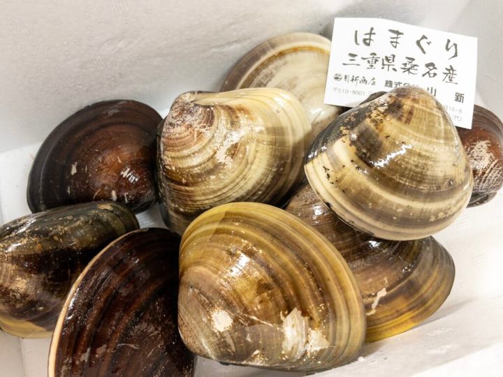 桑名のはまぐり