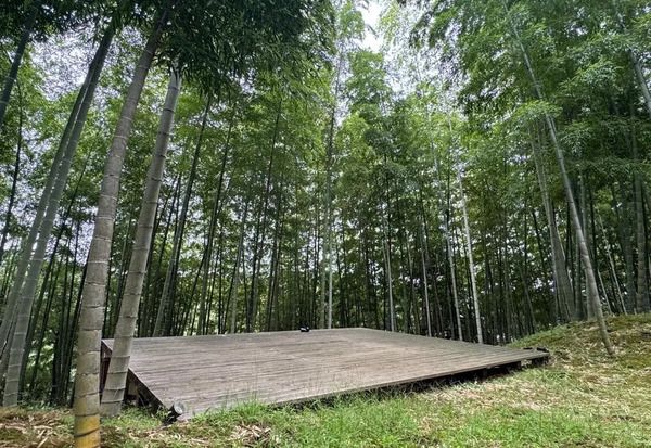 ウッドデッキや給湯もあり快適！勝浦の1,000㎡の竹林を貸切るキャンプ場「BAMBOO BASE KATSUURA」が始動