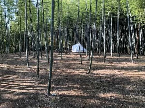 ウッドデッキや給湯もあり快適！勝浦の1,000㎡の竹林を貸切るキャンプ場「BAMBOO BASE KATSUURA」が始動