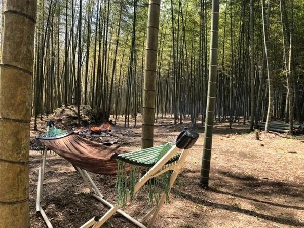 ウッドデッキや給湯もあり快適！勝浦の1,000㎡の竹林を貸切るキャンプ場「BAMBOO BASE KATSUURA」が始動