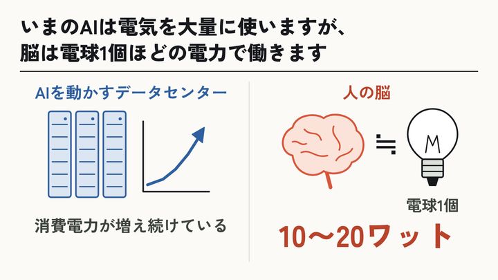 脳と電球の電力